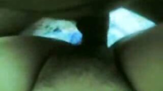 கருப்பு சேவல் உறிஞ்சும்