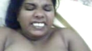 அனஸ்தேசியா நைட்