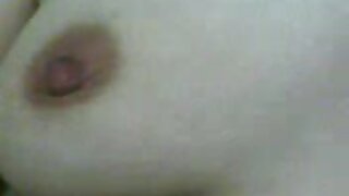 புற்றுநோயுடன் கழுதை